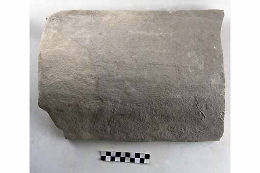 COPPO - produzione daunia (sec. II a.C)