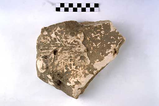 STELE/frammento - produzione daunia (secc. VII/ V a.C)