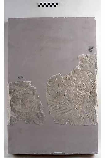 STELE/frammento, Nava, tipo II - produzione daunia (secc. VII/ VI a.C)