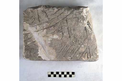 STELE/frammento, Nava, tipo V B - produzione daunia (secc. VI/ V a.C)