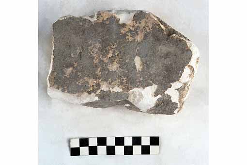 STELE/frammento - produzione daunia (secc. VII/ V a.C)