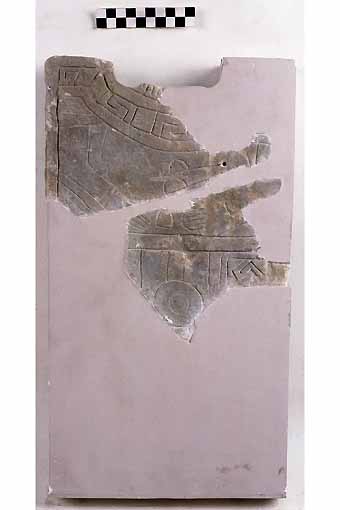 STELE/frammento, Nava, tipo III - produzione daunia (meta' sec. VI a.C)