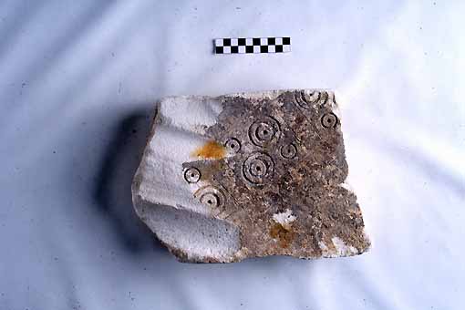 STELE/frammento - produzione daunia (sec. VII a.C)