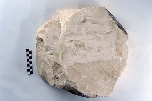 STELE/frammento - produzione daunia (sec. VII a.C)