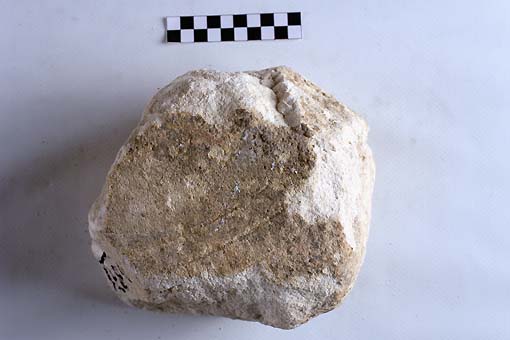 STELE/frammento - produzione daunia (secc. VII/ V a.C)