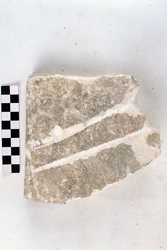 STELE/frammento - produzione daunia (sec. VII a.C)