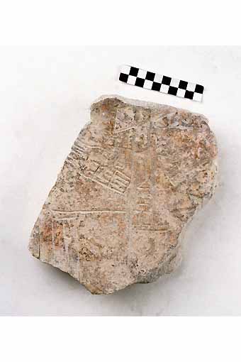 STELE/frammento, Nava, tipo IV - produzione daunia (secc. VI/ V a.C)