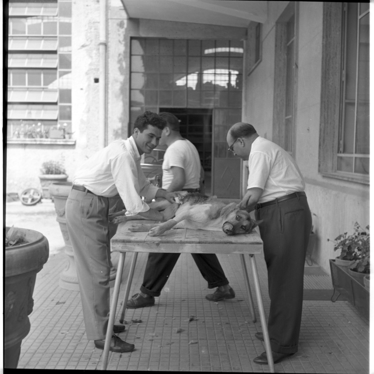 Uomini - Ritratti fotografici (negativo) di Rossi, Antonio (studio) (seconda metà XX)