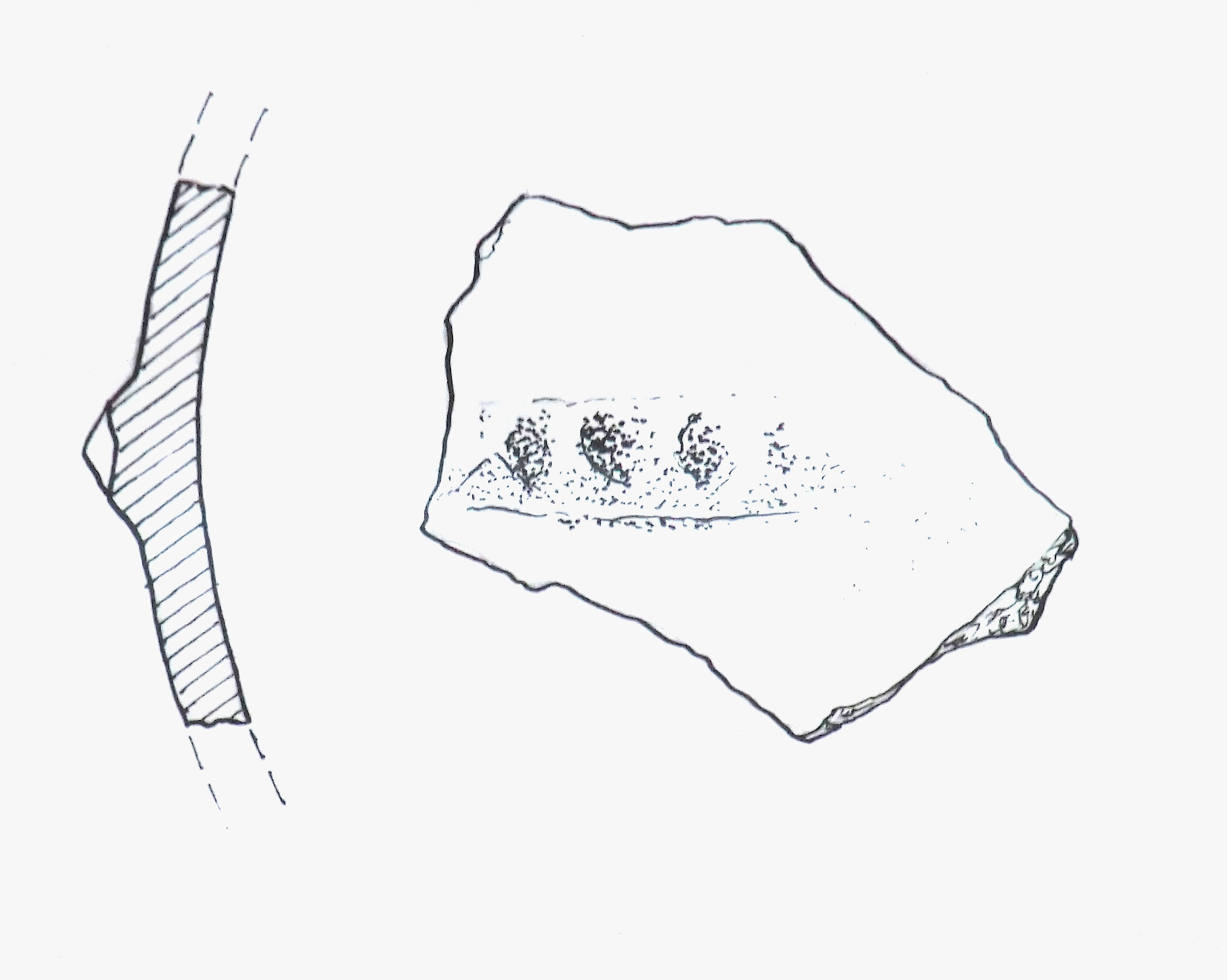 vaso/ frammento (Mesolitico)