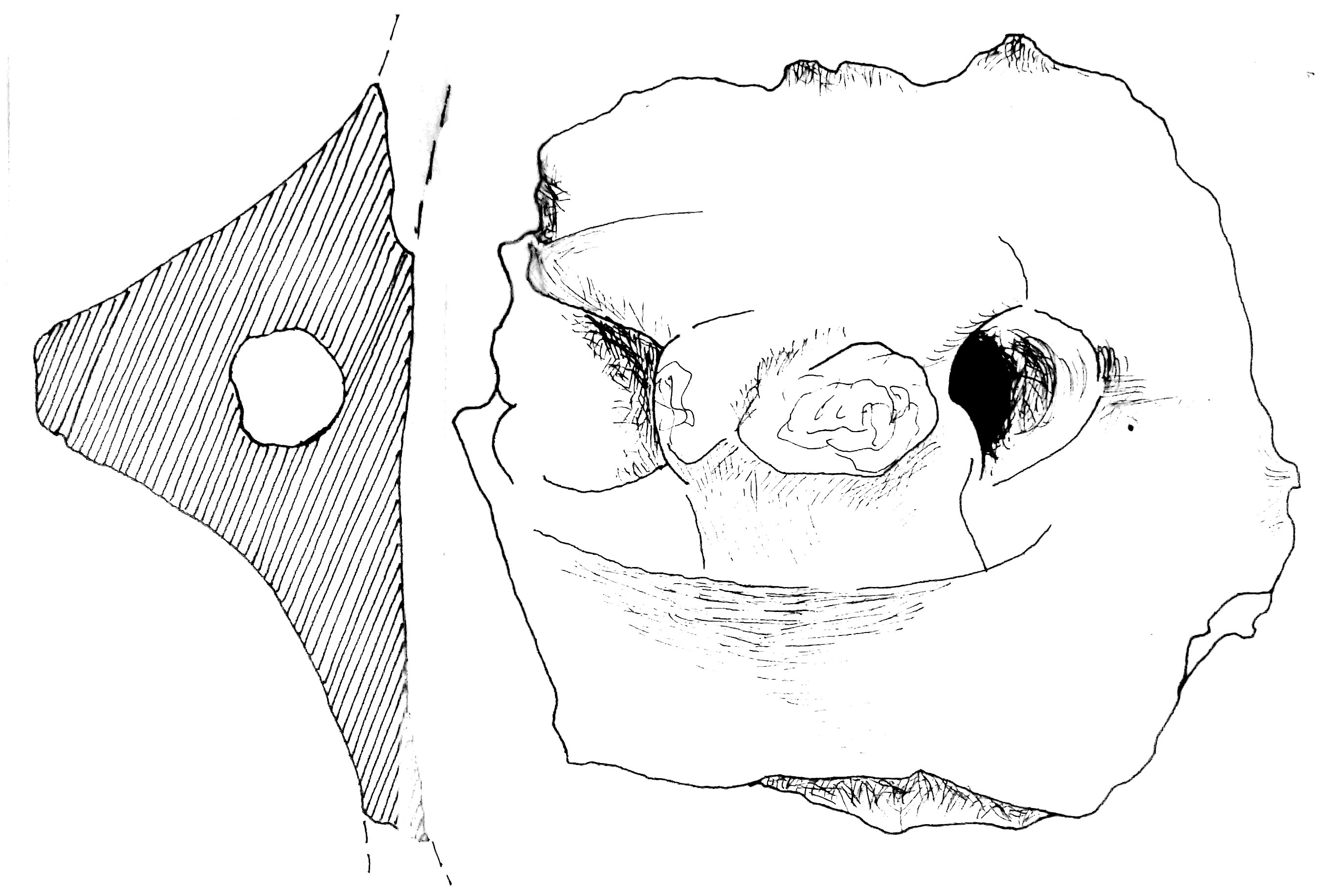 vaso/ ansa (Eneolitico)