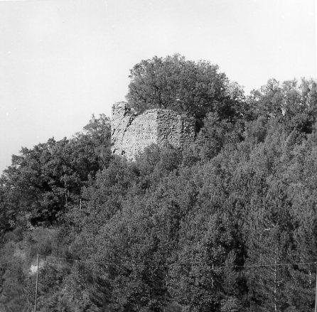 Rocca di San Leolino (castello) - Londa (FI)  (XI)