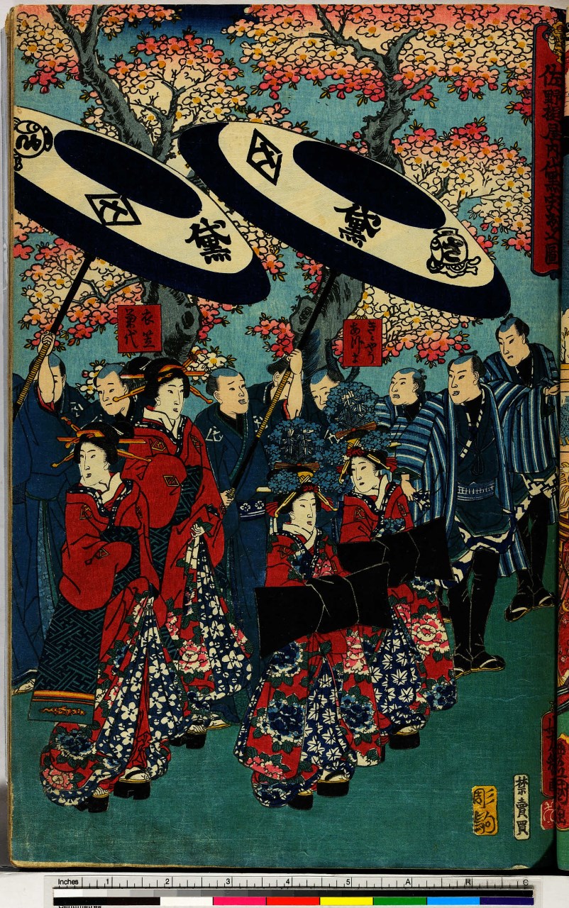 beltà che ammirano i ciliegi in fiore (stampa, stampa composita) di Utagawa Yoshiiku, Hori Koma - ambito giapponese (sec. XIX)