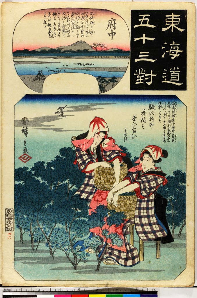 donne con ceste che raccolgono foglie di té e paesaggio nello sfondo (stampa, serie) di Utagawa Hiroshige I, Kinugasa Fusajirō - ambito giapponese (sec. XIX)