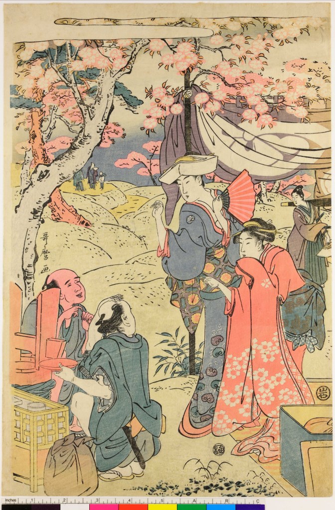 beltà che ammirano i ciliegi in fiore (stampa composita, stampa composita) di Kitagawa Utamaro - ambito giapponese (sec. XVIII)