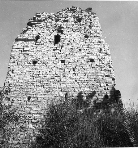 castello di Castiglione, rovine (rocca) - Marradi (FI) 
