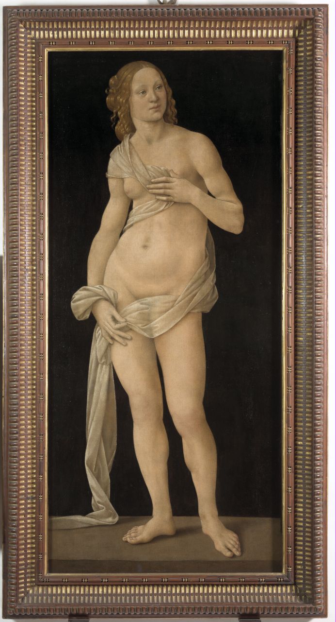 Venere (dipinto) di Lorenzo di Credi (sec. XV)