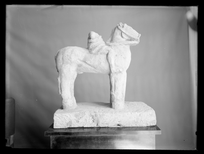 Museo Archeologico Provinciale di Salerno (negativo) di Samaritani Ernesto (metà XX)