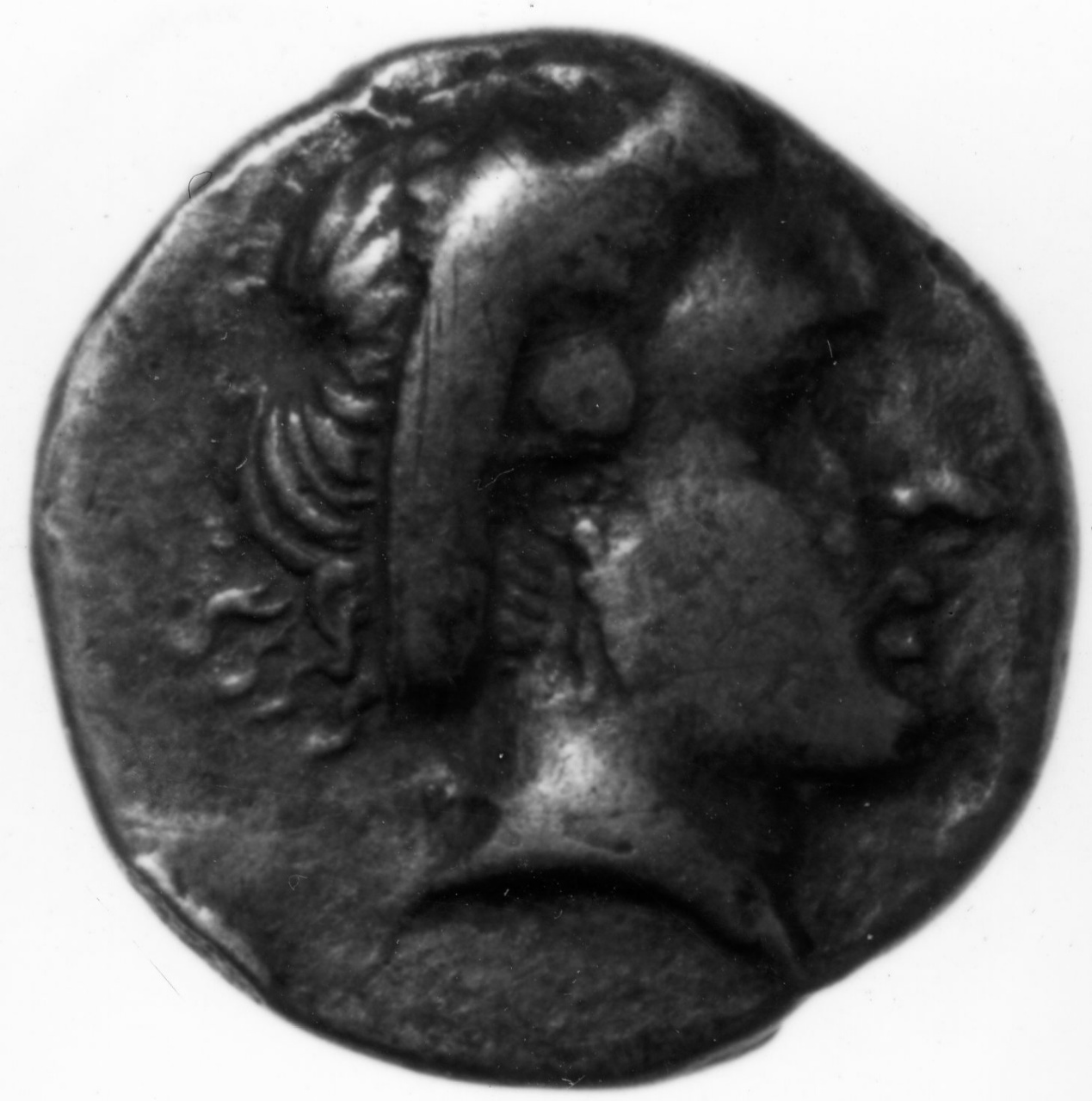 moneta - didracma - scuola italica (sec. IV)