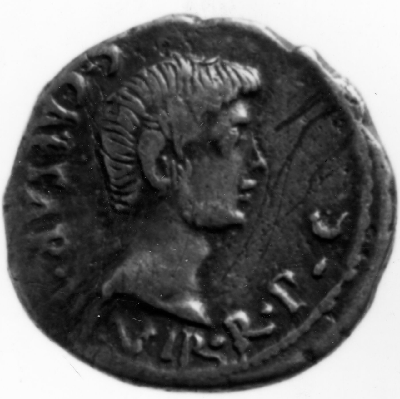 moneta - denario - scuola italica (sec. I)