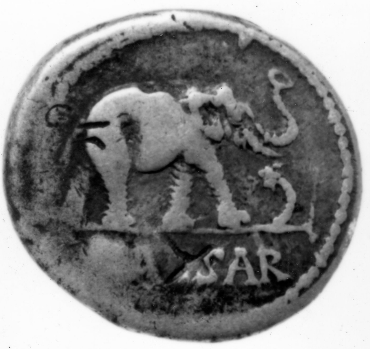 moneta - denario - scuola italica (sec. I)