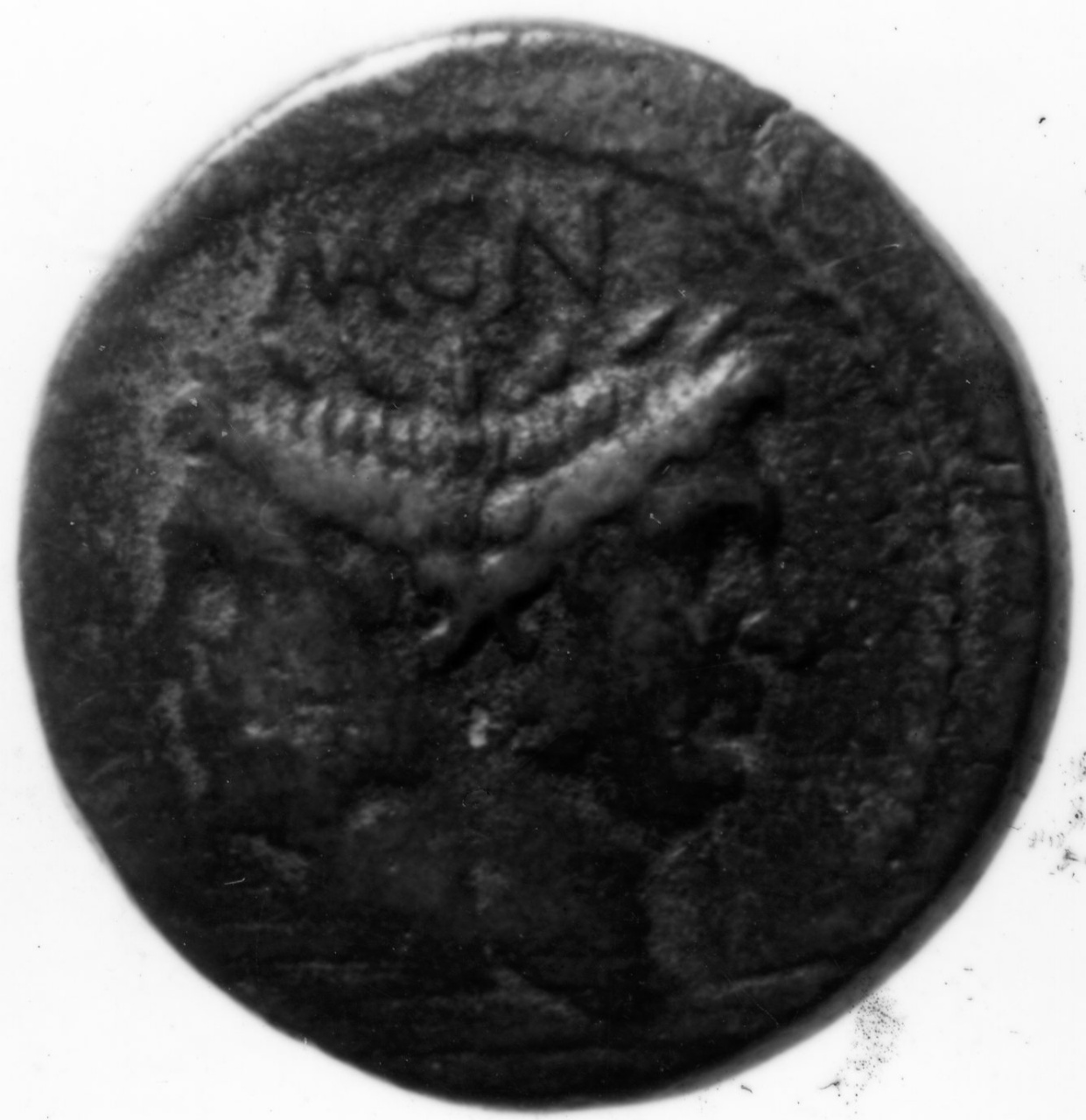 moneta - grande - scuola italica (sec. I)