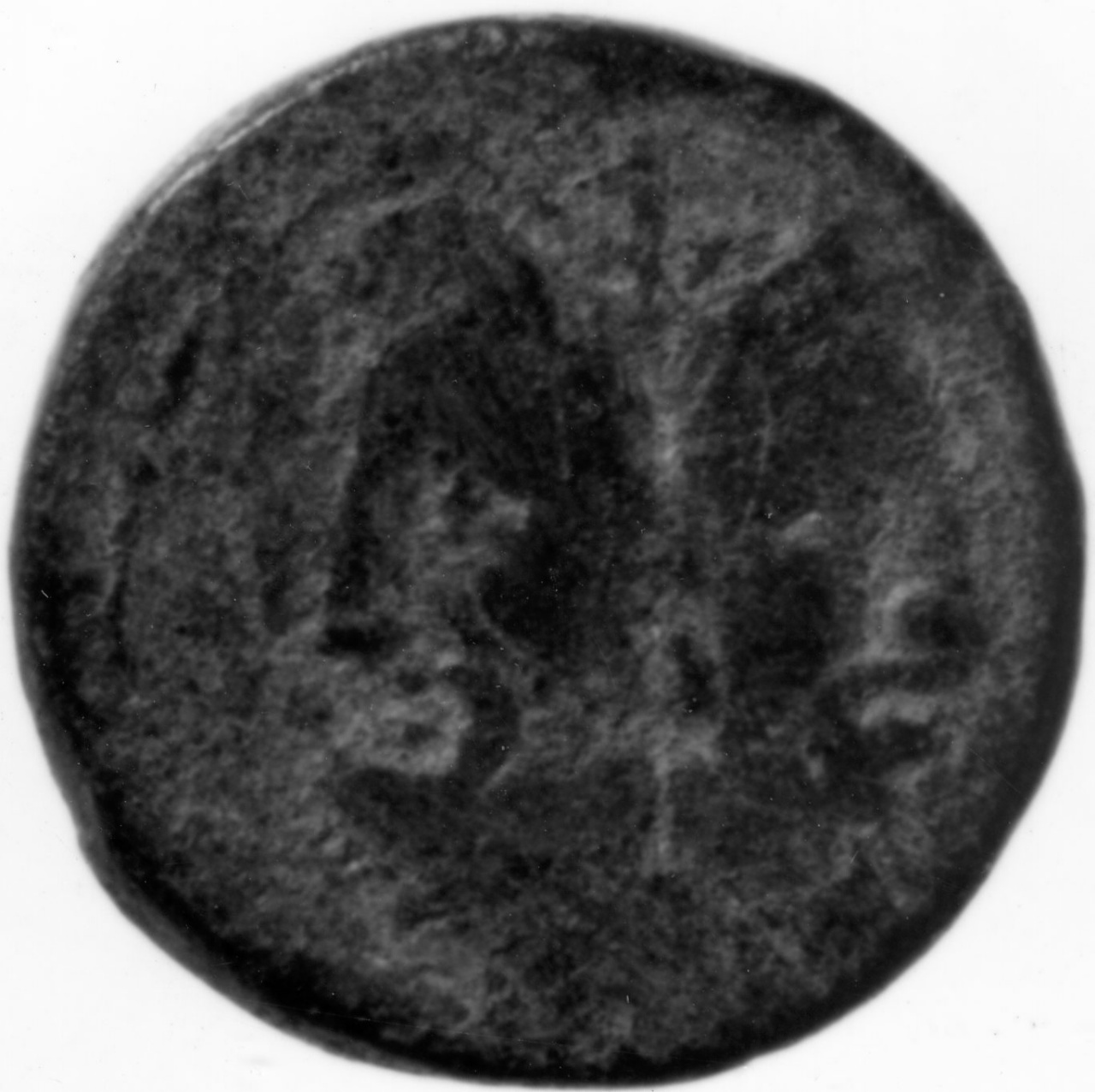 moneta - asse - scuola italica (sec. I)