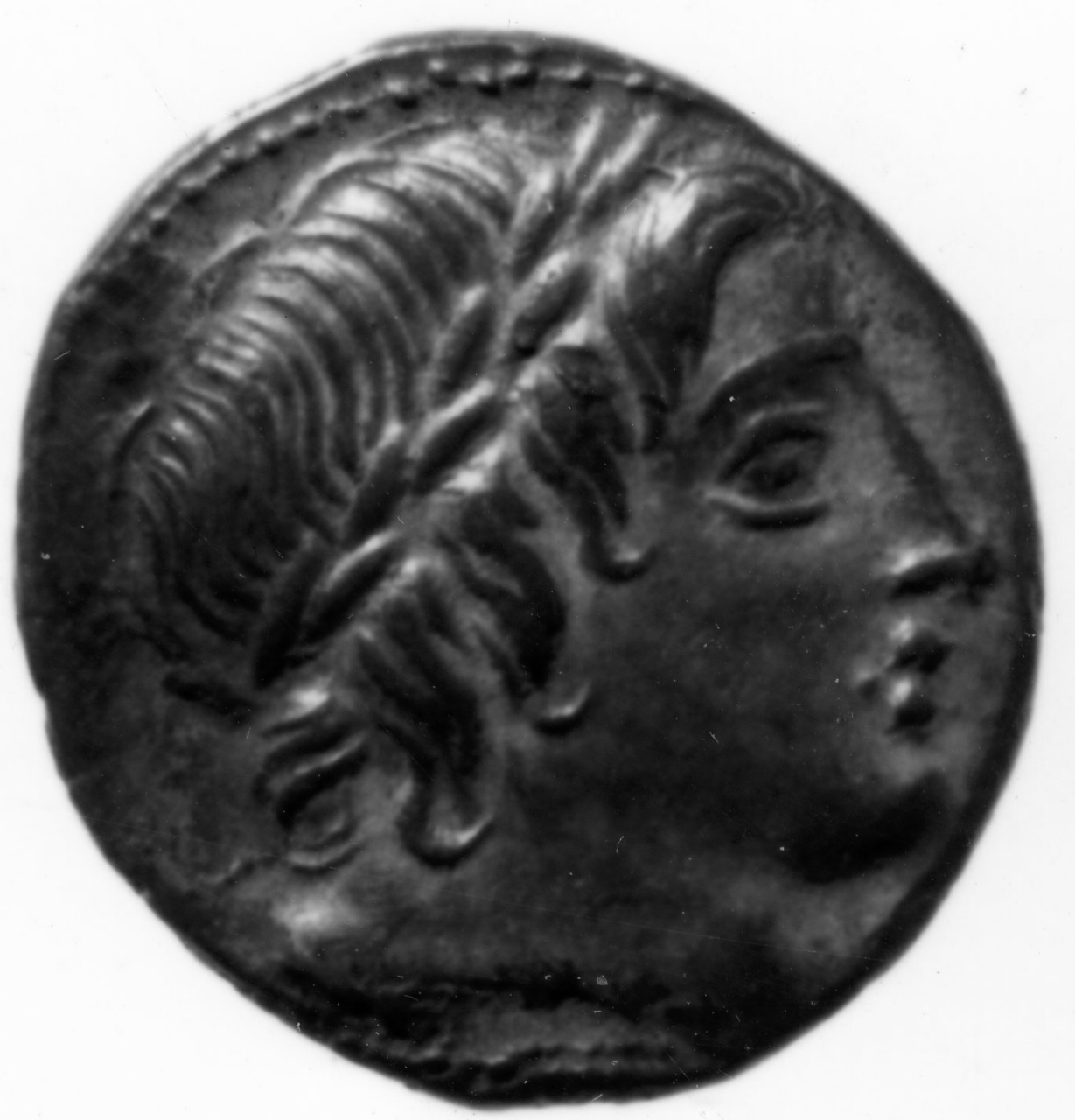 moneta - denario - scuola italica (sec. I)