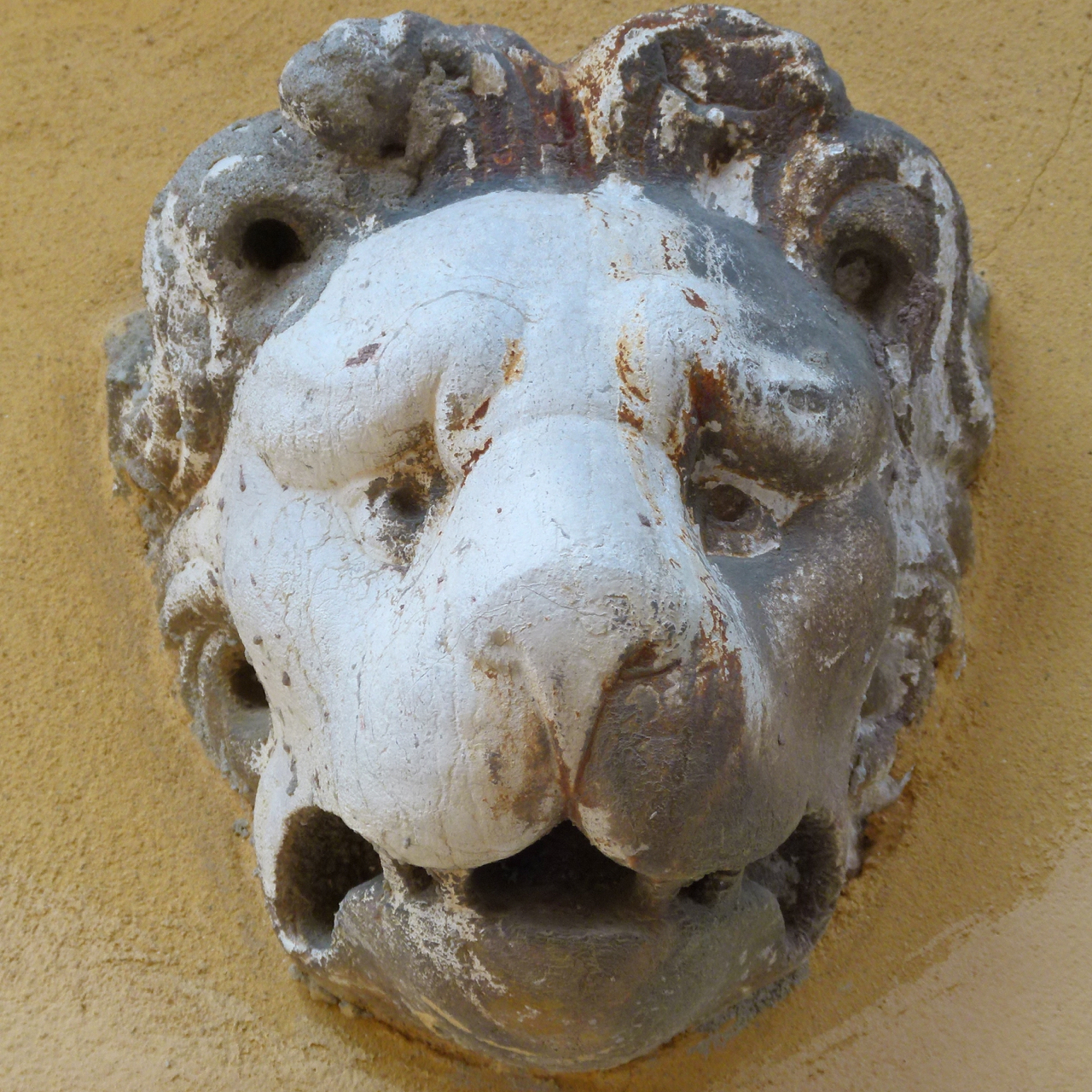 testa di leone (scultura, frammento) - ambito veneziano (secc. XV-XVI, sec. XVIII)