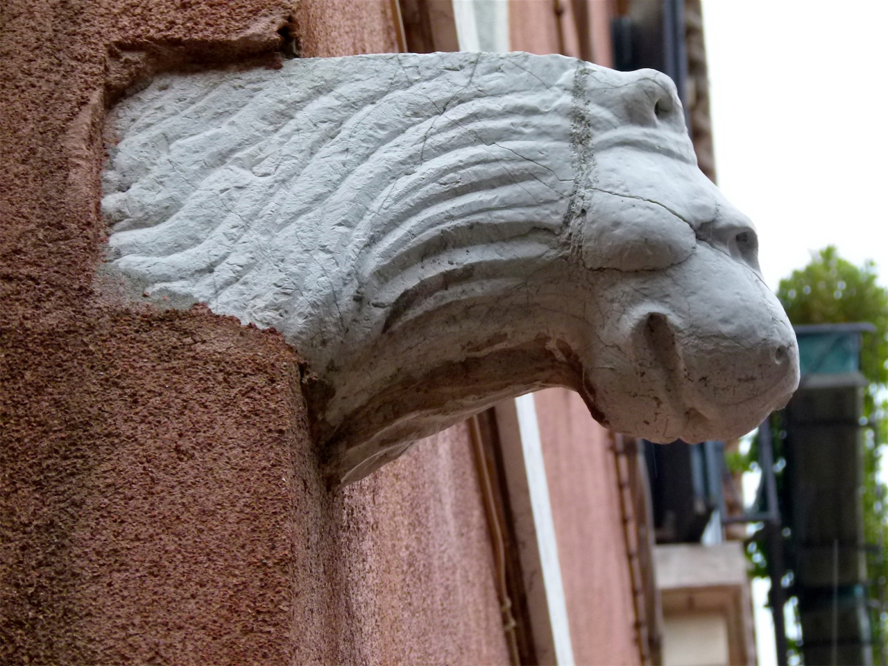 testa di leone (rilievo, opera isolata) - ambito veneziano (secc. XIV-XV)