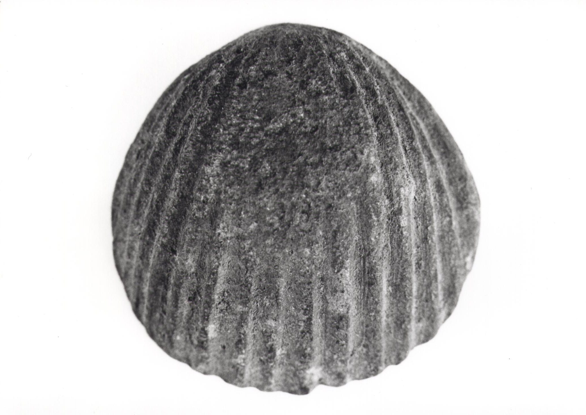 recipiente/ supporto (sec. I d.C)