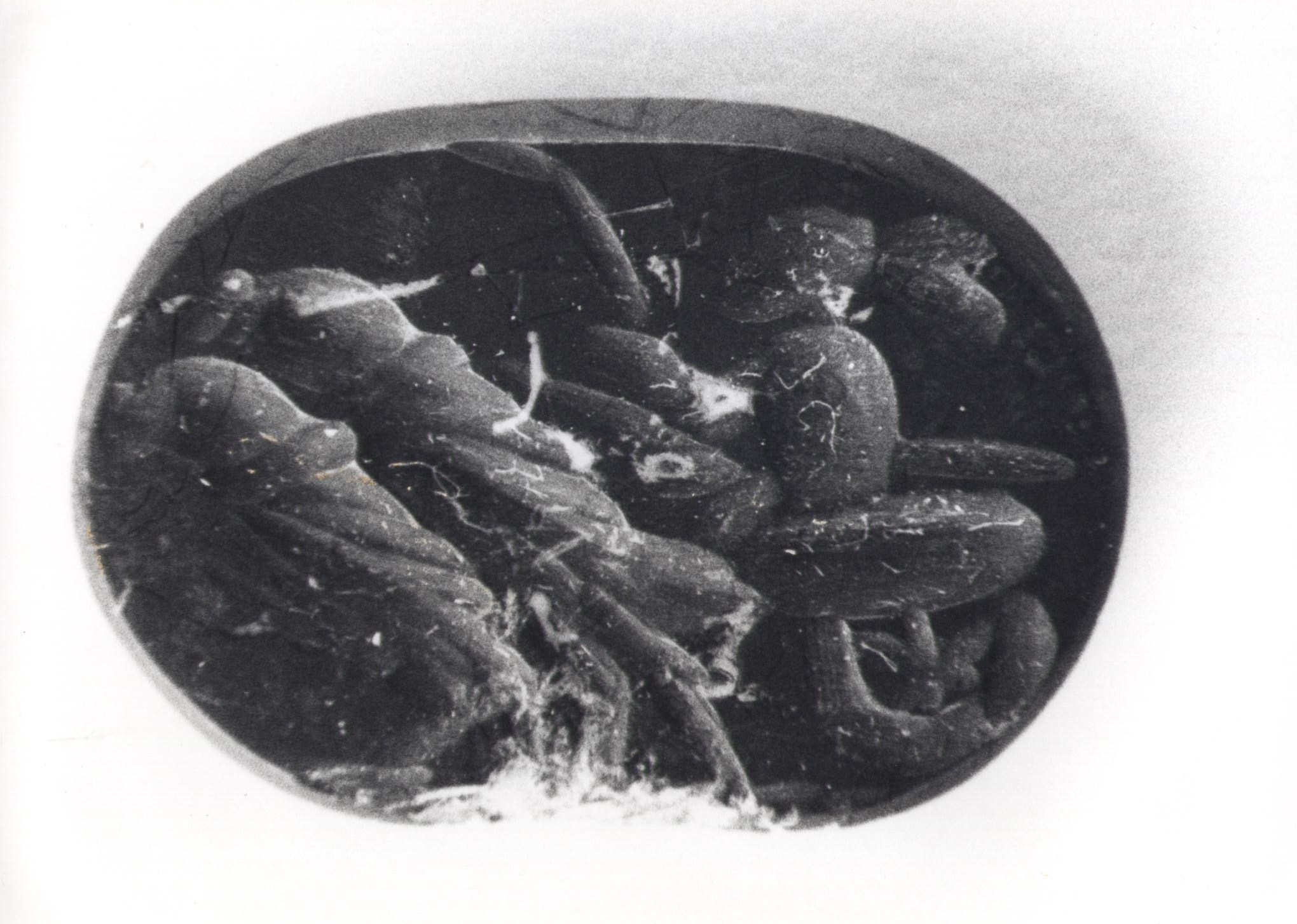 gemma (fine sec. II d.C)