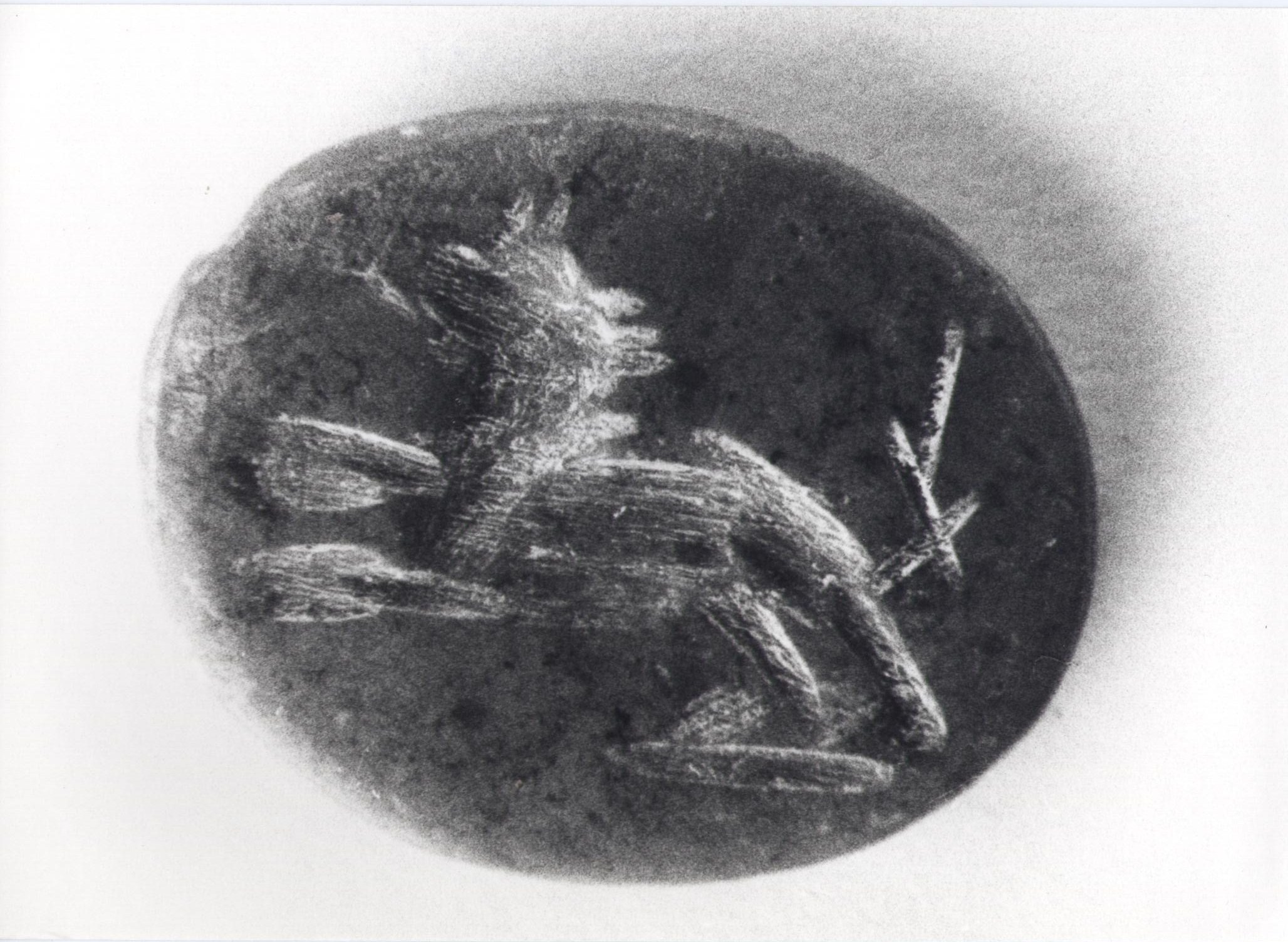 statua/ frammento (secc. I d.C./ III d.C)