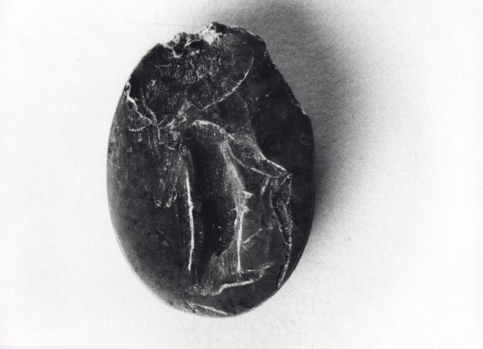 architrave/ frammento (secc. I d.C./ III d.C)