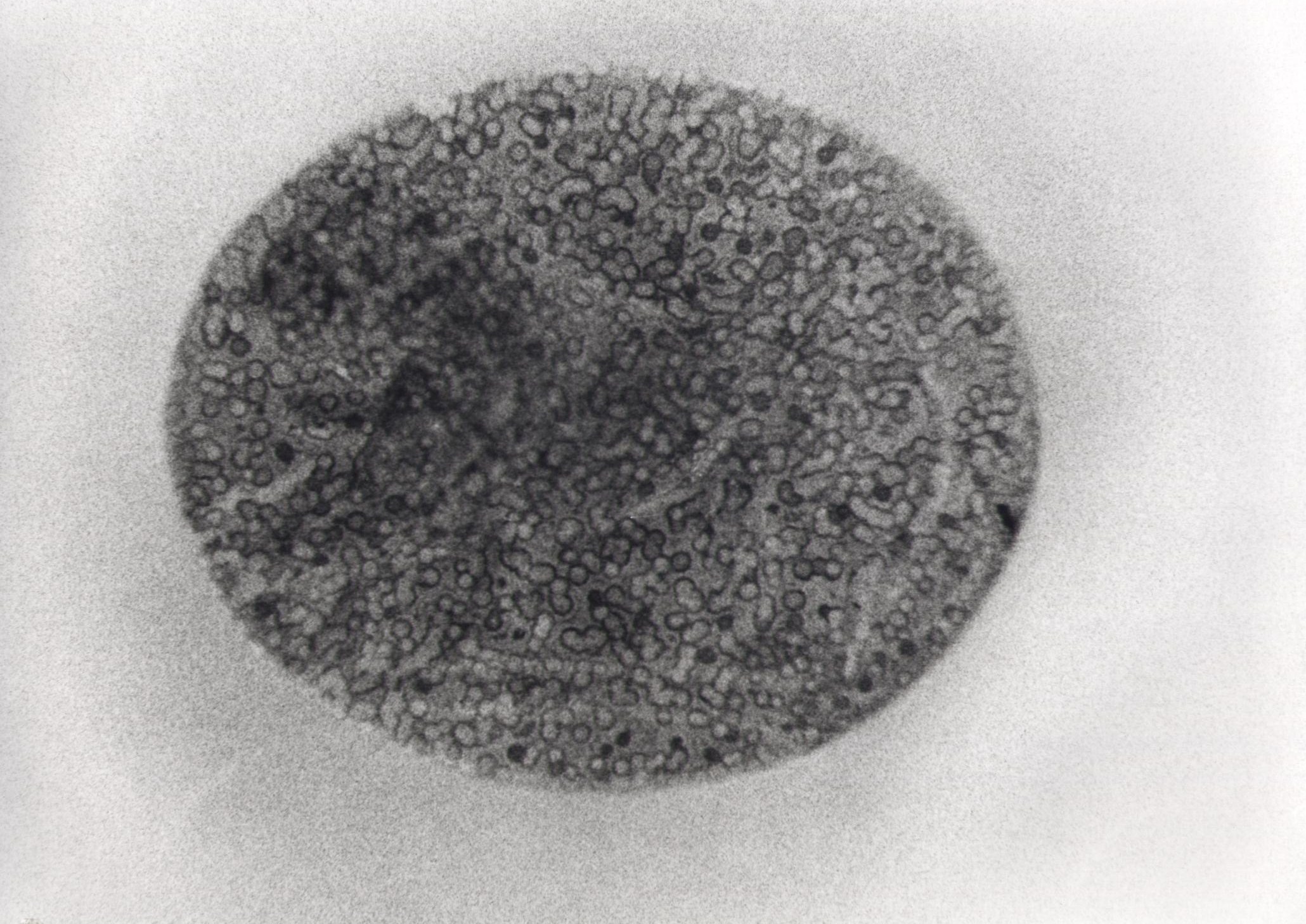 gemma (fine sec. II d.C)