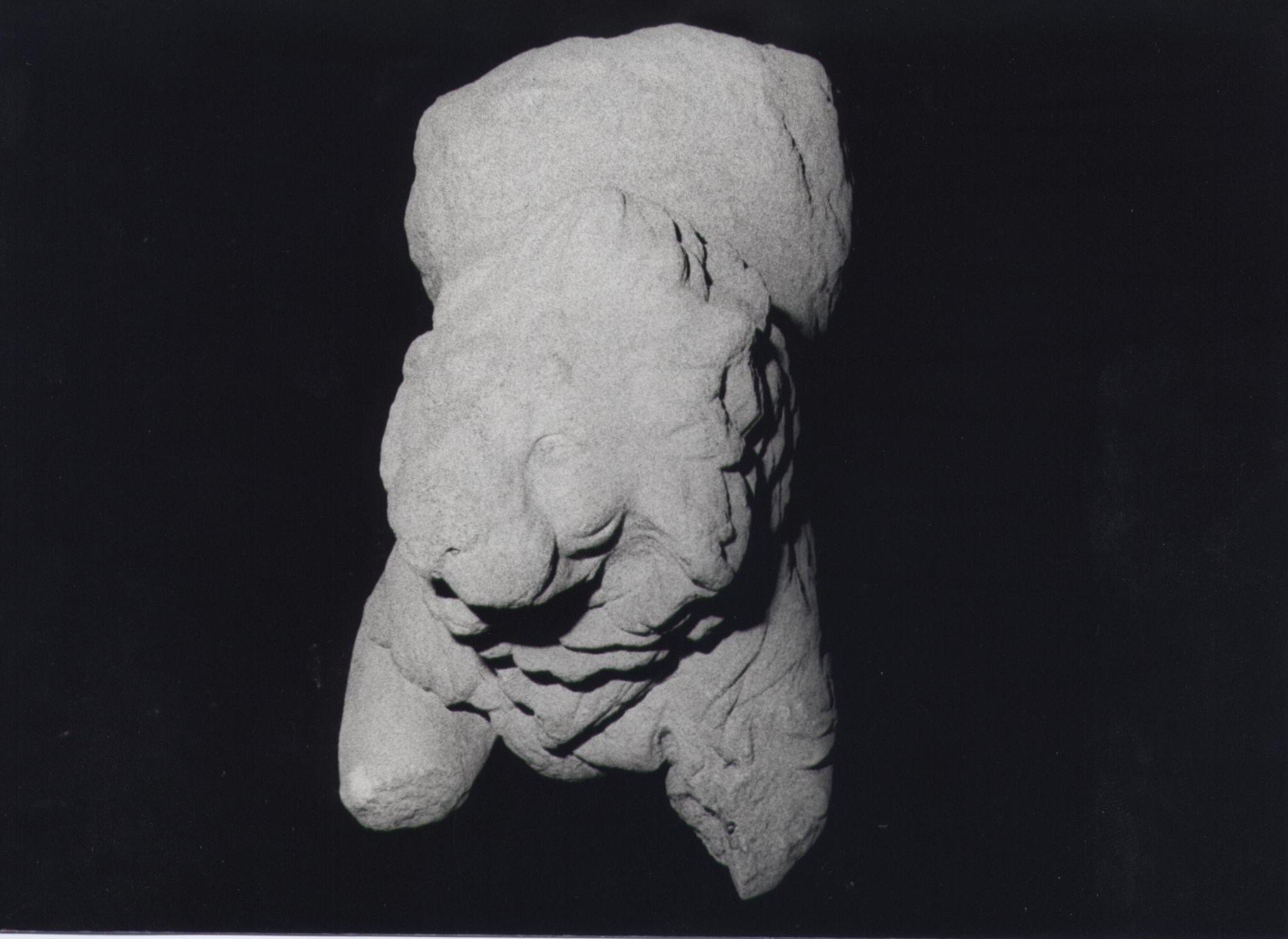 animali: leone (statua) (secc. I d.C./ II d.C)