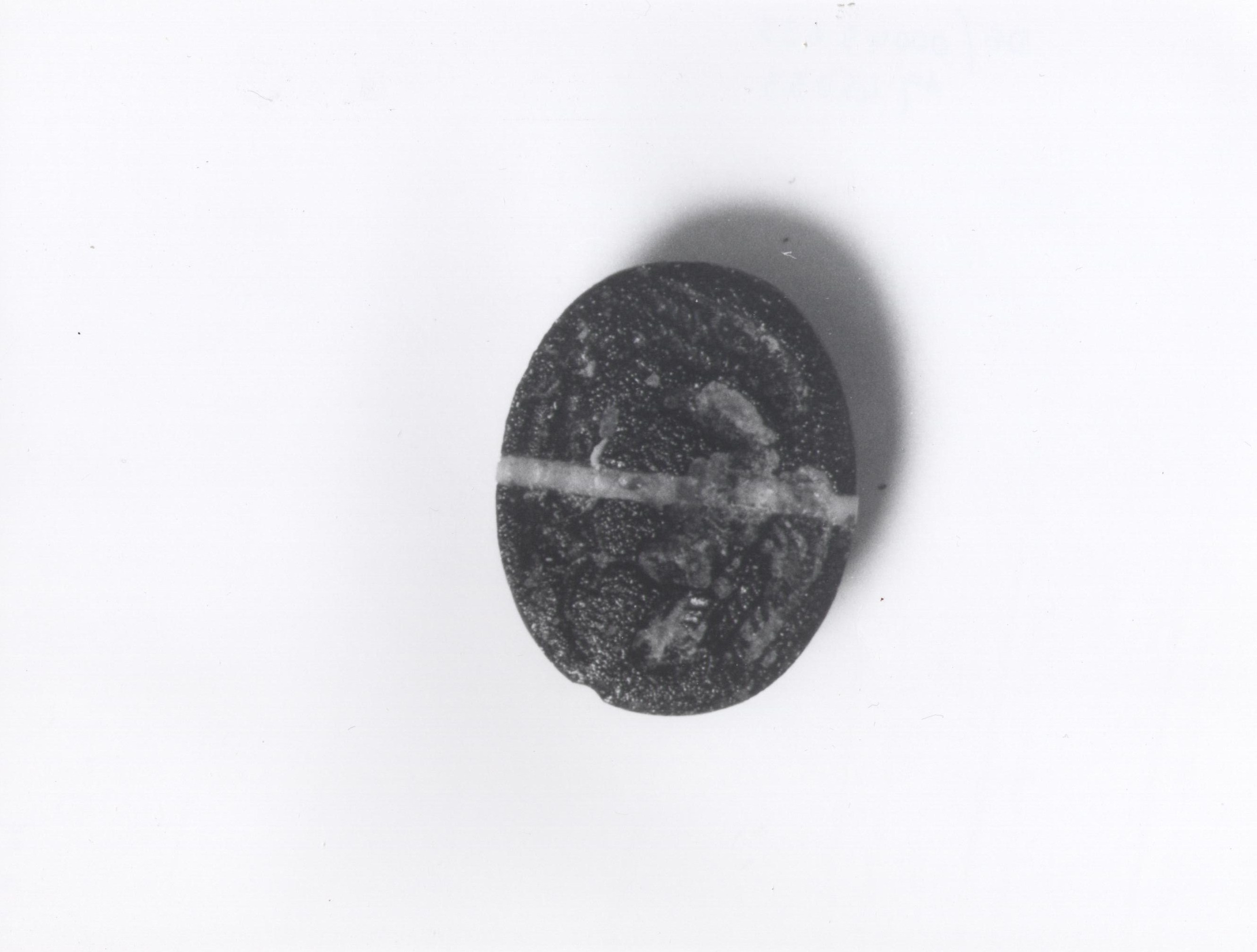 gemma, Zwierlein- Diehl tipo 8 (sec. II a.C./ III d.C)