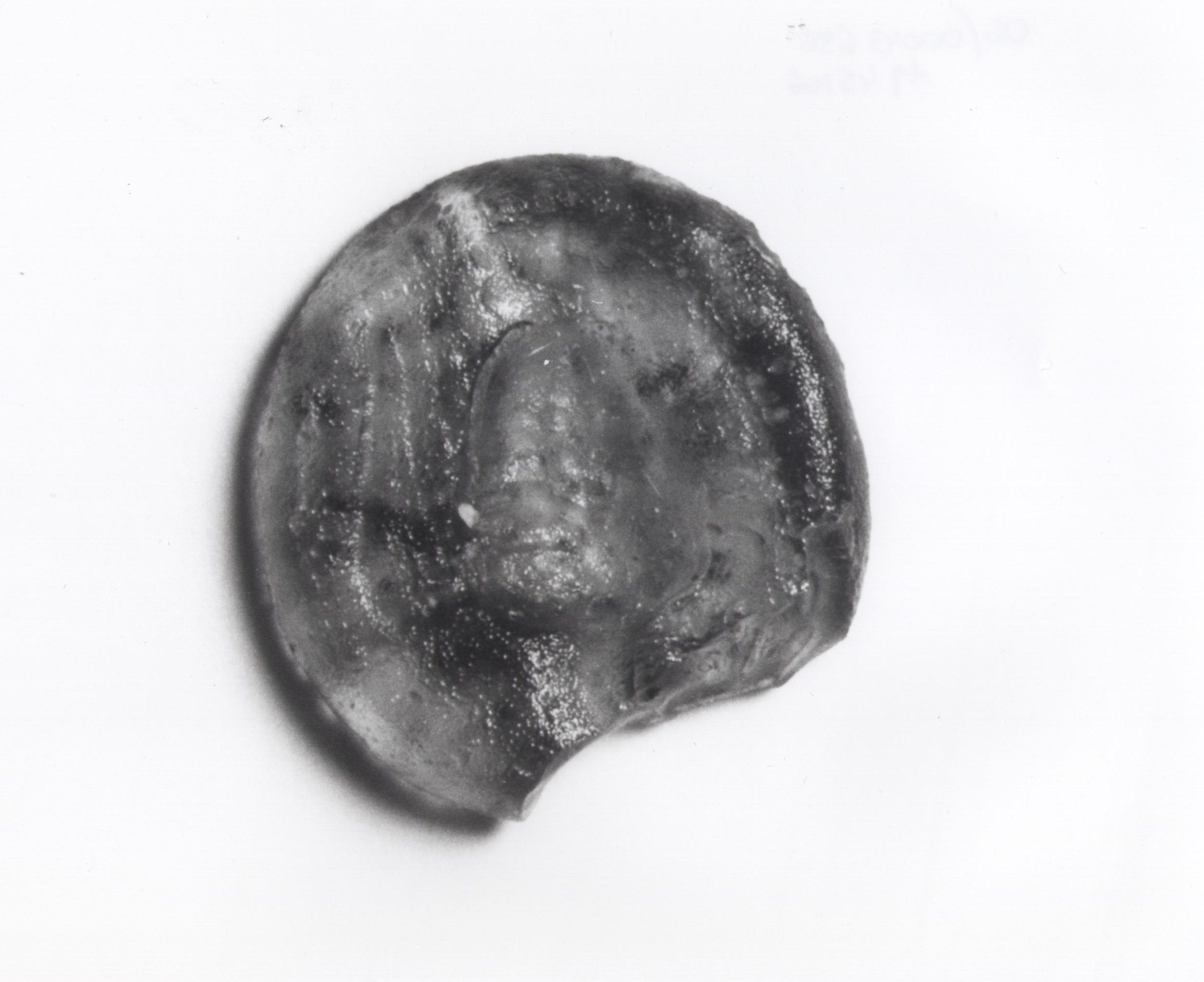 gemma, Zwierlein-Diehl tipo 10 (sec. II a.C./ I a.C)