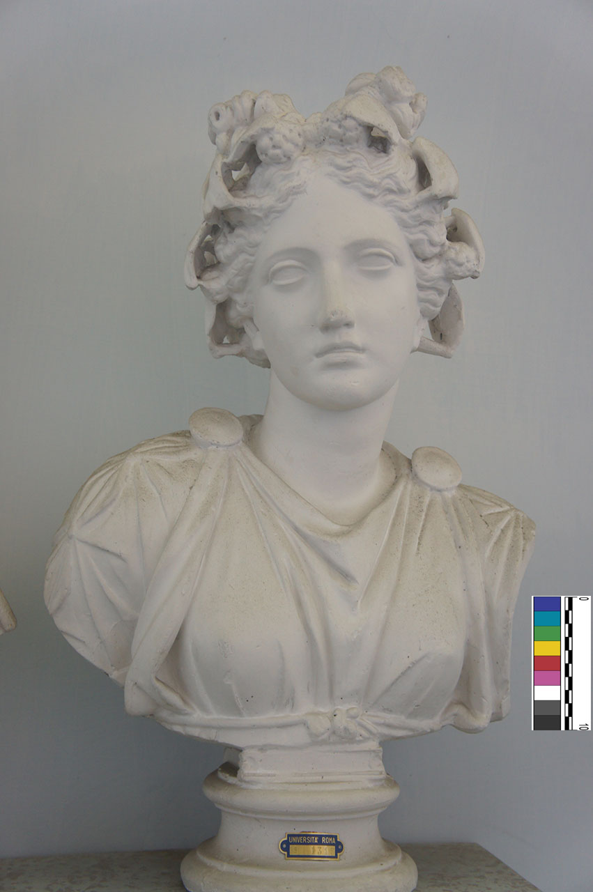 calco di busto - Bottega anonima (XX)