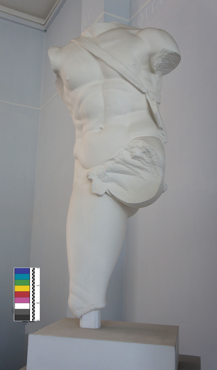 calco di torso - Bottega anonima (XX)