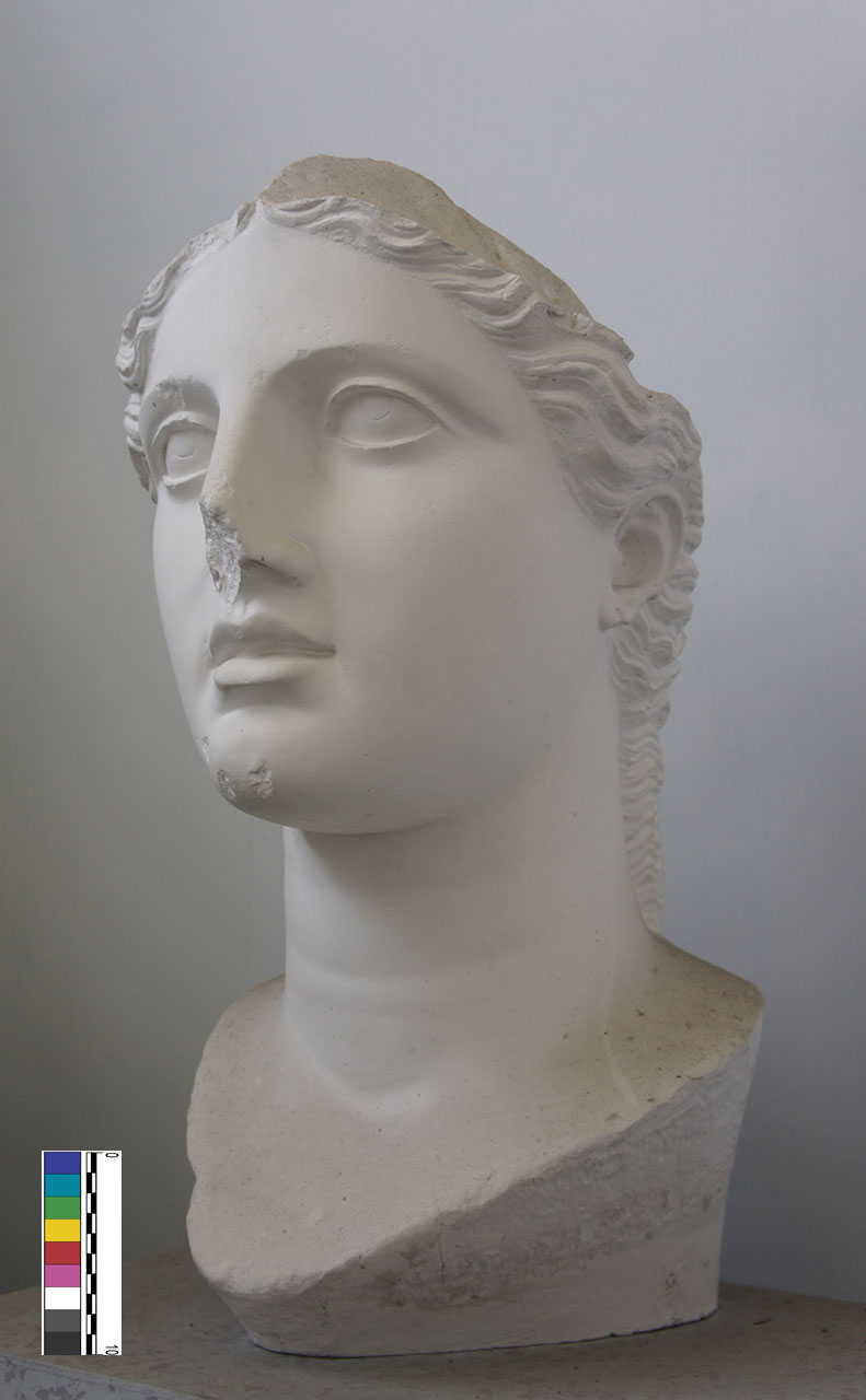 calco di testa - Bottega anonima (XX)