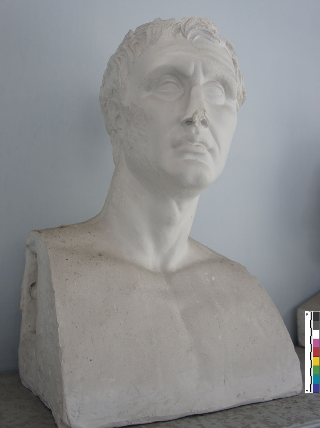 calco di busto - Bottega anonima (XX)