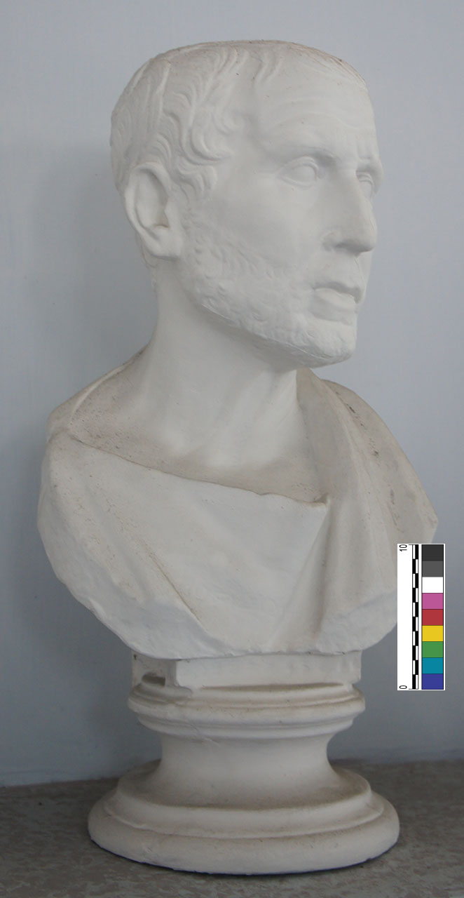 calco di busto - Bottega anonima (XX)