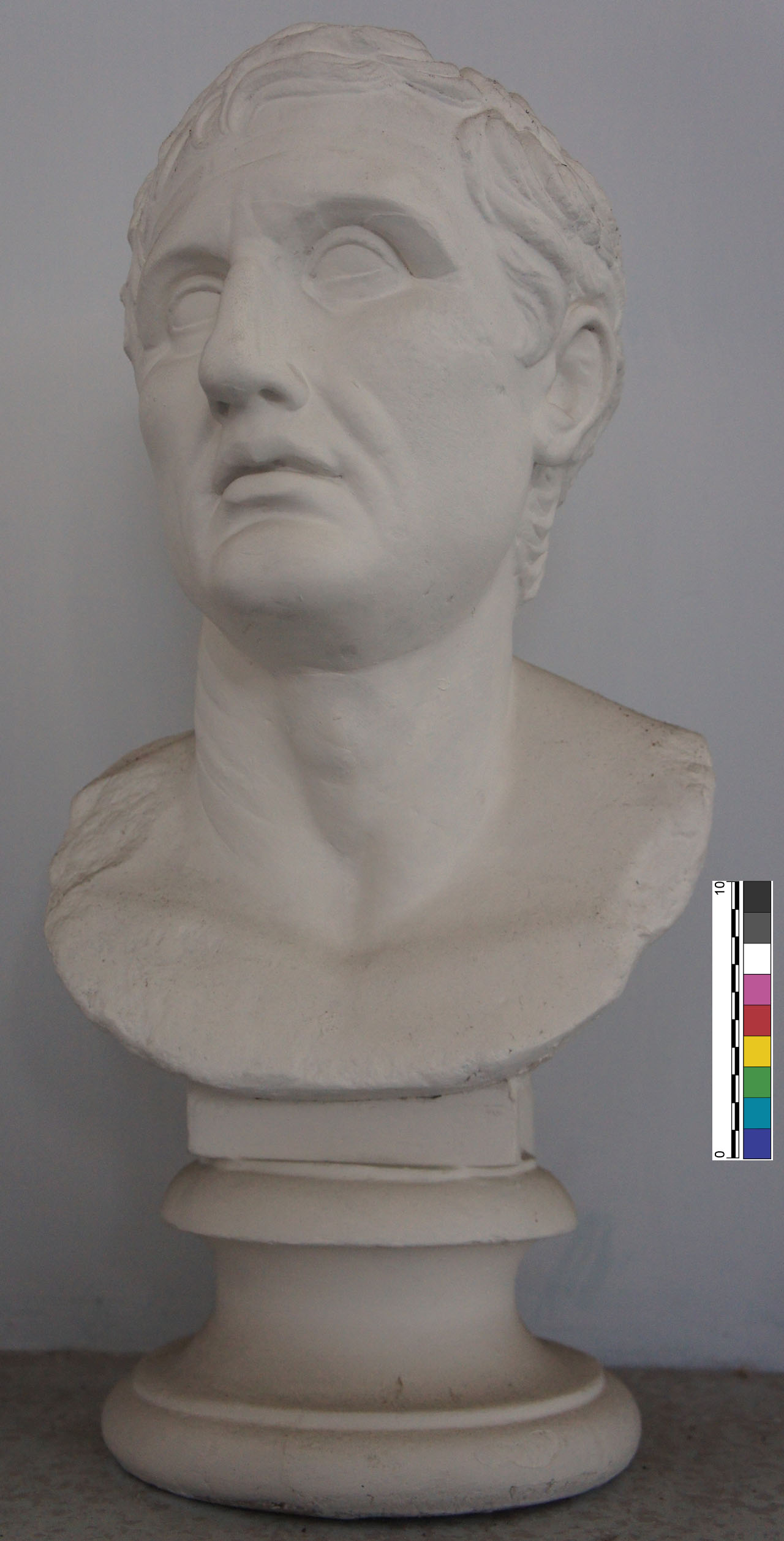 calco di busto - Bottega anonima (XX)