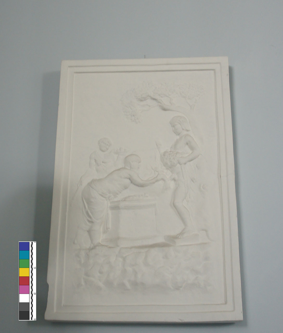 calco di ara - Bottega anonima (XX)