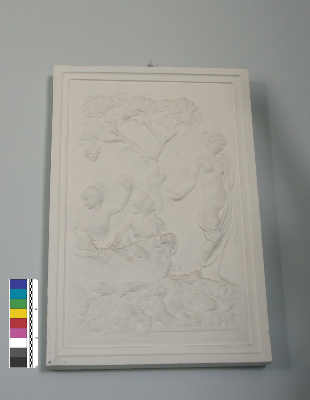 calco di ara - Bottega anonima (XX)