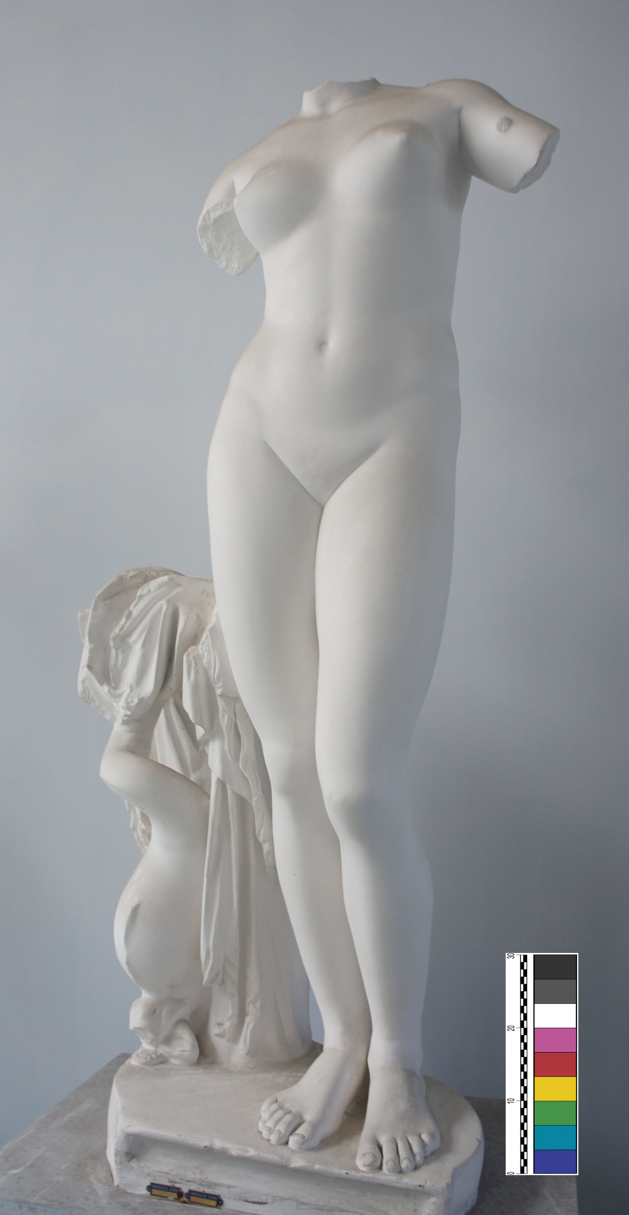 calco di statua - Bottega anonima (XX)
