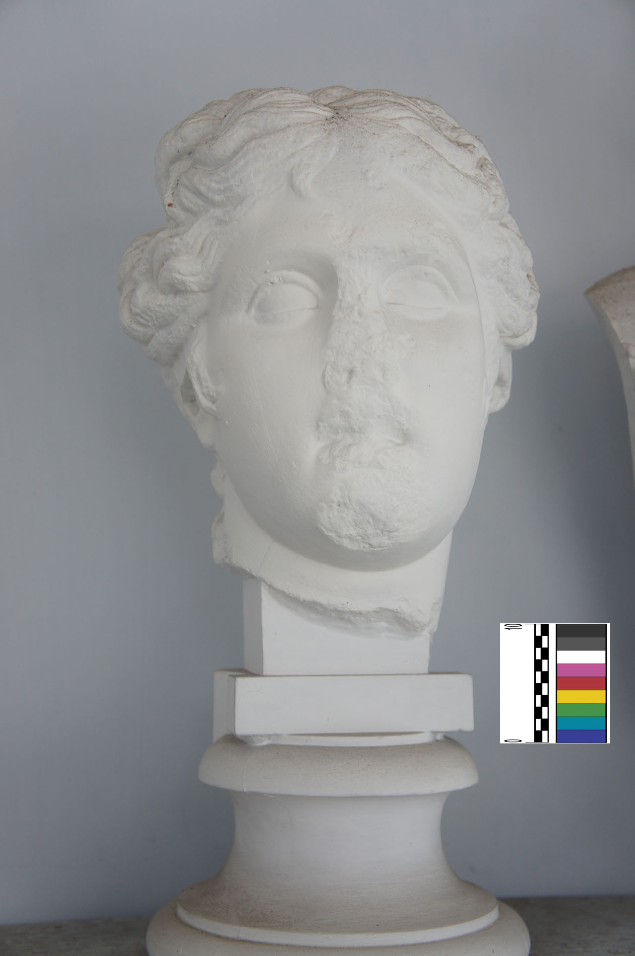 calco di statua - Bottega anonima (XX)