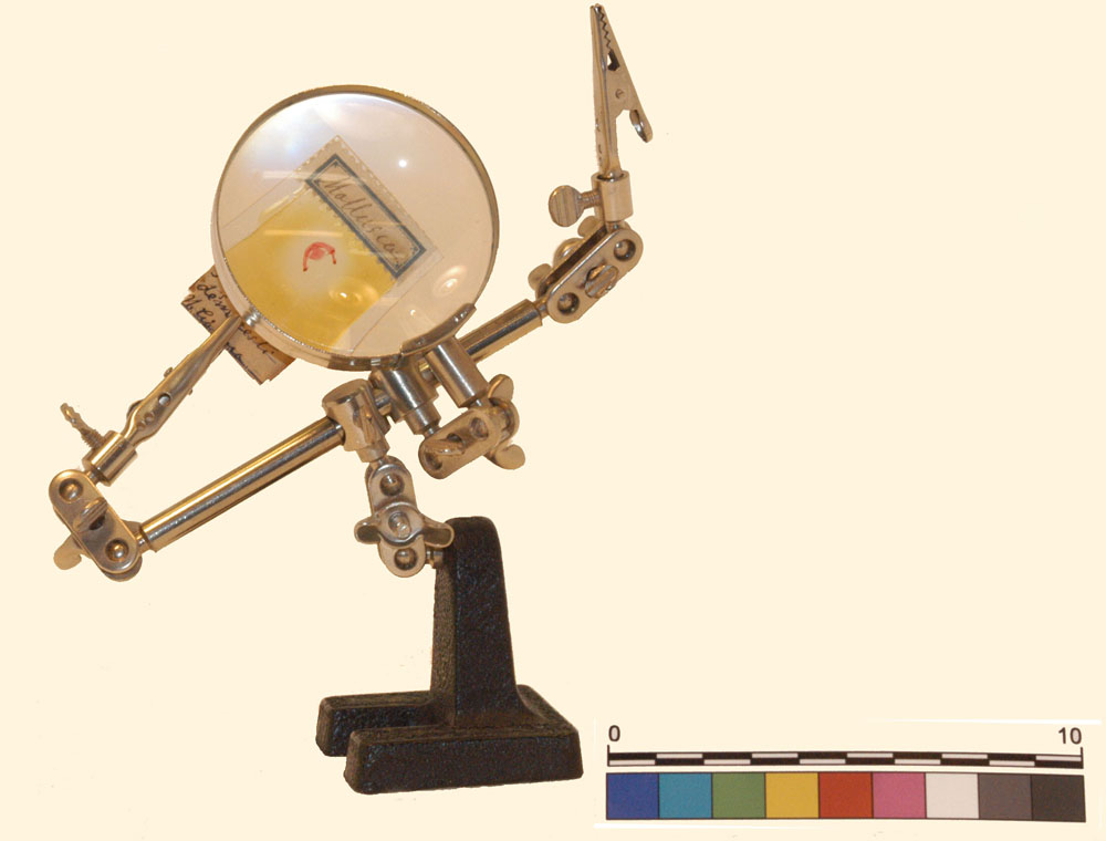 lente, di ingrandimento (XX secolo)