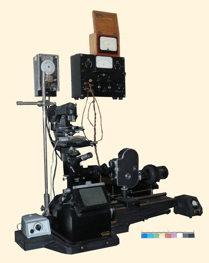 Stefanelli (apparato microcinematografico, "time lapse") (XX secolo)