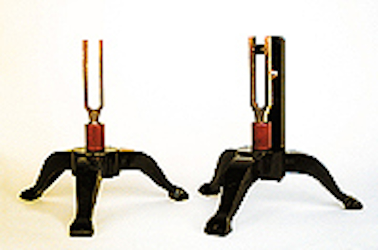 diapason, DIAPASON CAMPIONE DORATI (1887)
